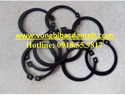 PHE-CÀI-TRỤC-VÒNG BI-BẠC ĐẠN